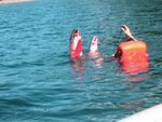 clavellesvacation_2004_017.jpg