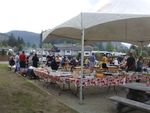 dsc08886.jpg